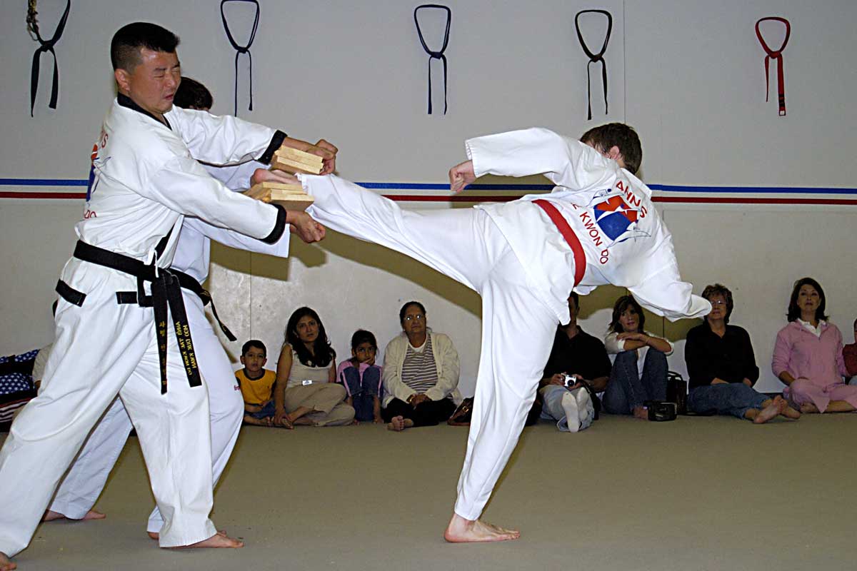 10 Stick Fighting ideas  martial arts techniques, martial arts