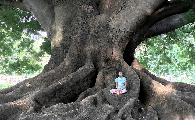 Zen Koan Meditation